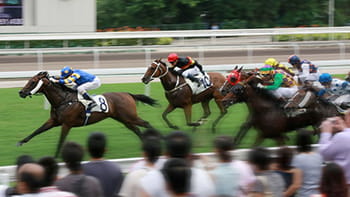 Starting horse race betting on Coral sports - Novice Punter guide to racing